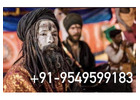Tantra Vidya Specialist Astrologer Specialties Baba Ji+91-9549599183 