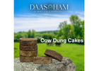  Cow Dung Cake For Holi  In Visakhapatnam